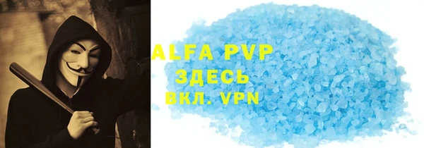 индика Богородск
