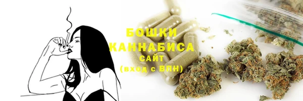 индика Богородск