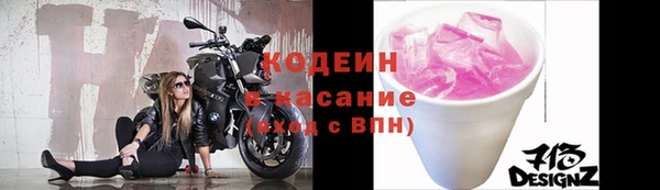 индика Богородск
