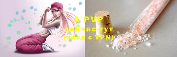 apvp Богданович