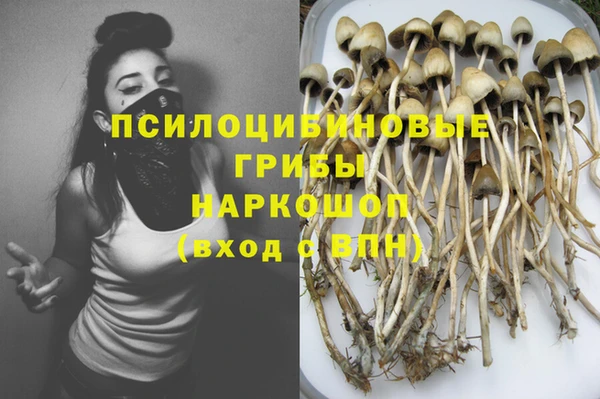 apvp Богданович