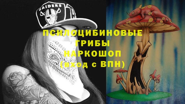 apvp Богданович