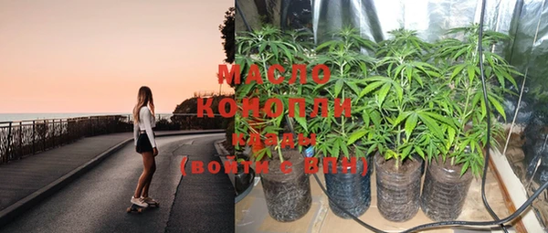 индика Богородск