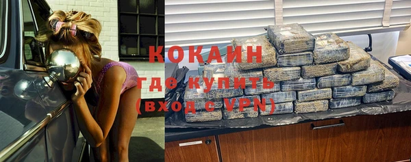 индика Богородск