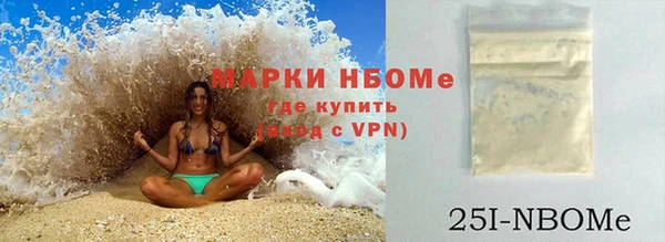 индика Богородск