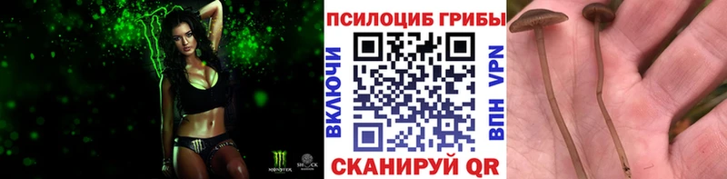где купить наркоту  Кинешма  Псилоцибиновые грибы ЛСД 